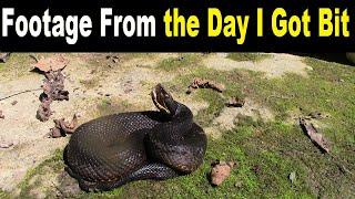 The Day I Got My 1st VENOMOUS SNAKEBITE (Unseen Footage)