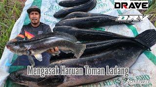 Mengasak Haruan Ladang  !!!! [ Tadpole Lure Killer ]