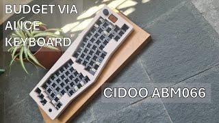 Budget VIA Alice Keyboard | CIDOO ABM066 Review