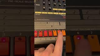 Vintage Roland TR 808 Building a 1980’s Bronx beat