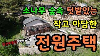 (계약완료) 소나무 숲속 텃밭있는 작고 아담한 전원주택 / 정선토지박사