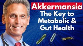 Akkermansia: The Key to Metabolic & Gut Health | Adam Perlman Clips