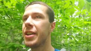 Day 6 Hiking The Appalachian Trail in 100 Days | AT Thru Hike SOBO 2024