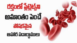 Best Foods That Increase Blood Platelets Count Naturally | RedTv Health