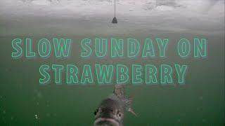 Slow Sunday on Strawberry