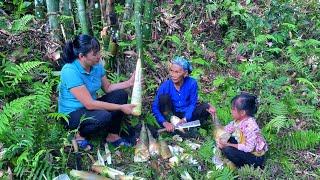 Life is sharing : Together Harvesting bamboo shoots and catching crabs at night - Happy moments