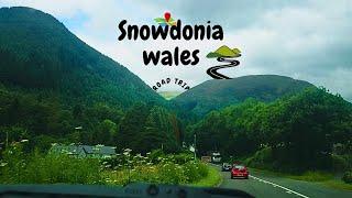 Road Trip to Snowdonia  Gorgeous Welsh Landscapes - Sheep Land