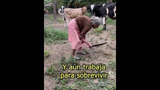 increíble todo lo que hace abuelita de 100 años