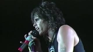 Aerosmith - Dude (Looks Like A Lady) - Live In Dallas 1988