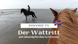 Der Wattritt - mit Islandpferden in Duhnen - Ponyhof TV geht ausreiten!