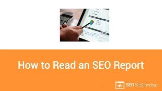 How to Read an SEO Report