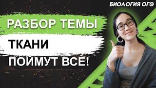 ОГЭ Биология 2022 | Основная ткань | Виды паренхим | Простым языком – поймут все