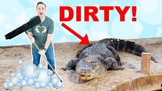 I Gave My Alligators A Bath!