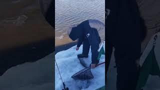 УЛОВЫ! РЫБАЛКА ПО ОТКРЫТОЙ ВОДЕ! 