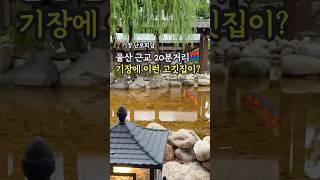 울산에서 20분거리 계곡 2분거리 기장 한옥감성 가득한 고깃집 난로회담 #기장맛집