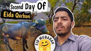 Second day of EID amazing vlog Shahzaib vlogs