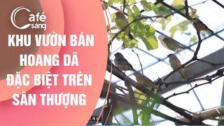 KHU VƯỜN BÁN HOANG DÃ ĐẶC BIỆT TRÊN SÂN THƯỢNG