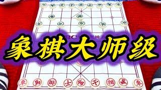 象棋：象棋大师级