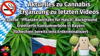 Aktuelles zu Cannabis - Ergänzung zu Expertenversagen im TV / Konsumverbote Bayern / Tschechien