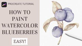 How to Paint Watercolor Blueberries in Procreate  | Realistic Watercolor Fruit Procreate Tutorial