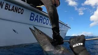 Wahoo Spearfishing - Canary Islands Bluewater La Palma