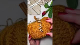 Crochet Pumpkin DIY Preview