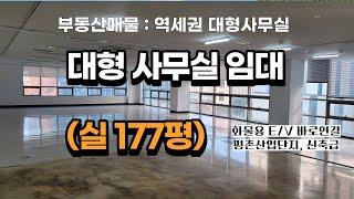 평촌역세권 대형사무실 임대, 실177P. 신축급