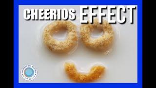 The Cheerios effect