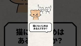 Q: Are cats bullied? #cats #livingwithcats #rescuedcats #cat