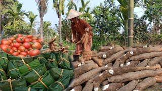 Harvesting cassava, making traditional cassava cakes from home and the best way to preserve them