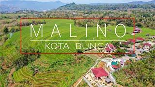 Menikmati Keindahan Malino Kota Bunga