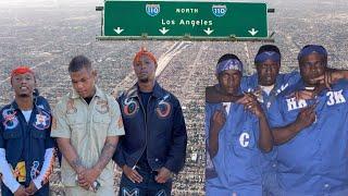 The Story Of South Central Deadliest Crip & Blood Gangs