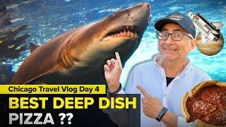 Best Things To Do in Chicago | Day 4 Chicago Vlog | HONEST REVIEW Deep Dish Pizza | Street Food US