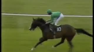 1981 Irish Derby Shergar