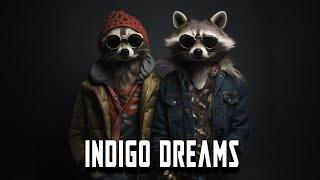 Indie Pop Funk Music - Indigo Dreams