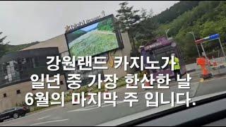 오늘부터 말일까지는 한산합니다. 6월 22일(일) 카지노의 잭팟 현황과 소식.