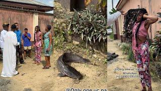 UNBELIEVABLE A LADY TURN BACK TO A FISH  SHE WAS WITHOUT HER FAMILY KNOWING THAT SHE IS A MAN MADE