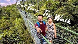 MacRitchie TREE TOP WALK | SINGAPORE Vlog 11 | Wanderlust On Wheel