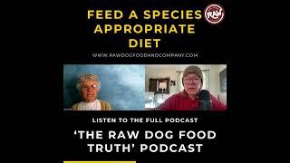 Feed a species appropriate diet