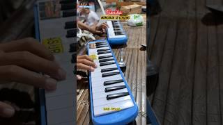 Mengular 12 Corong Pianika Sendiri #telolet #basuri #pianika