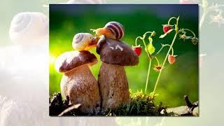 НЕОБЫЧНОЕ В ОБЫЧНОМ