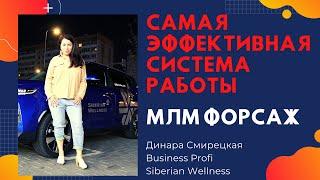 Siberian Wellness. Как заработать. Команда МЛМ Форсаж