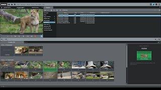 Filmvorlagen in Magix Video Deluxe 2016 erklärt | Neues Feature