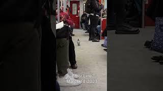Pigeon takes Toronto subway instead of flying. Actual footage from March 14, 2023 commute! 