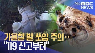 가을철 벌 쏘임 주의‥"119 신고부터" -R(230908금/뉴스데스크)
