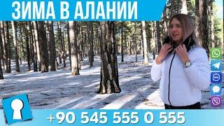 Снег и зима в Аланьи Турции. Недвижимость в Турции от AZPO Турция Аланья.
