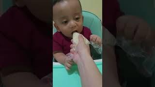 CARA KASI MAKAN BAYI GTM/TUMGI