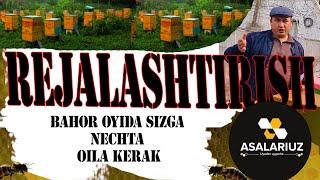 REJALASHTIRISH. Asalari oilasi sizga nechta kerak???