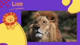 Learn Safari Animals for Toddlers with The Darling Toy House