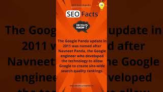  SEO Fact #55: The Google Panda update in 2011 was named after...